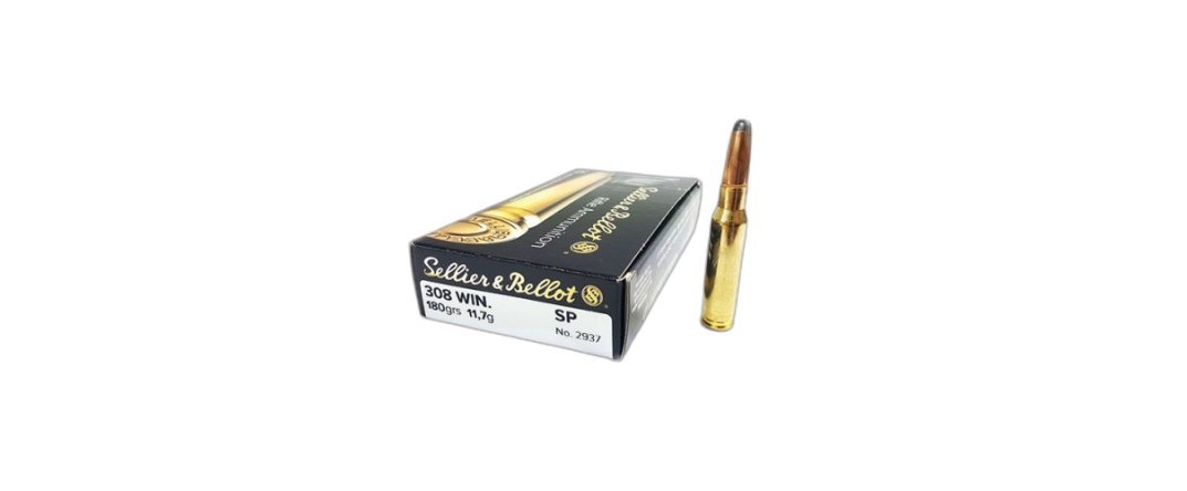 Amunicja Sellier & Bellot 308 Win. 11,7g SP