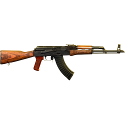 Karabinek samopowtarzalny bocznego zapłonu Pioneer Arms Sporter 103D - kal. 22LR