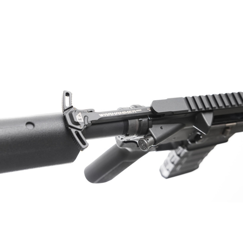 Karabinek samopowtarzalny DTF Rifleworks Shorty 11,5" - kal. 223Rem/5,56x45